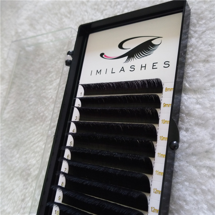 kiss brand lashes.jpg